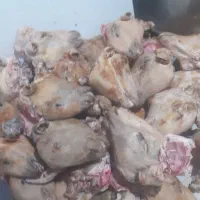 کله پاچه|خوردنی و آشامیدنی|نسیمشهر, |دیوار