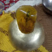 خرید و فروش کهربا