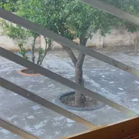 فروش خانه ویلایی ۱۱۰ متری ۲ خوابه در تهران‌نو|فروش خانه و ویلا|تهران, تهران‌نو|دیوار