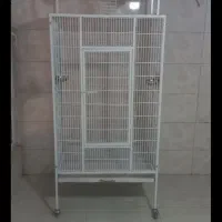 قفس