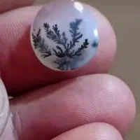 کلکسیونی و فاخر در گالری ناب|کلکسیون اشیاء عتیقه|تهران, دانشگاه شریف|دیوار