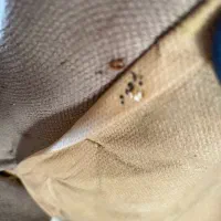 سمپاشی تخصصی تضمینی ساس و سوسک ..بامجوزبهداشت