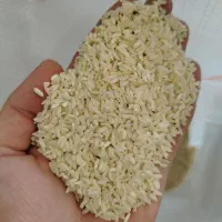 برنج چمپا لردگان|خوردنی و آشامیدنی|خمینی‌شهر, |دیوار