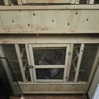 جفت کن دوطبقه|لوازم جانبی حیوانات|گرمدره, |دیوار