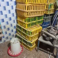 فروش لوازم مرغی کامل|فروشگاه و مغازه|دزفول, |دیوار