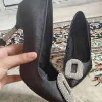کفش مجلسی
