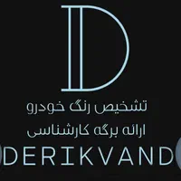 کارشناسی سیار، (تشخیص رنگ بدنه )وفنی خودرو،باغ فیض|خدمات موتور و ماشین|تهران, پونک|دیوار