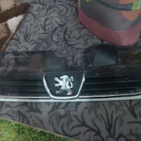 جلو پنجره ای پژو
