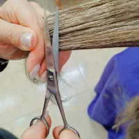 خدمات احیا و صافی مو|خدمات آرایشگری و زیبایی|تربت‌حیدریه, شهید قرنی|دیوار