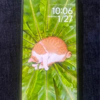 ردمی نوت 13 پرو|موبایل|زرند, |دیوار