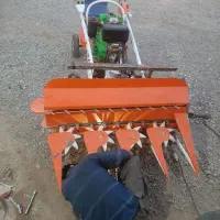 دروگر دیزلی