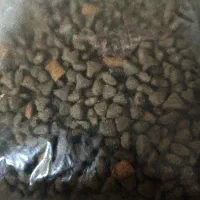 غذای سگ