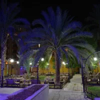 استخدام آشپز