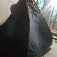 چتر مسافرتی 8نفره بدون سوراخ و پارگی کار کرده|کوهنوردی و کمپینگ|بناب, |دیوار