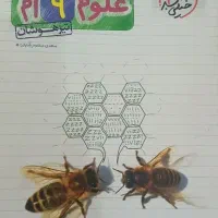 علوم نهم خیلی سبز تیزهوشان