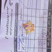 پلاک یک گرمی|جواهرات|یاسوج, |دیوار