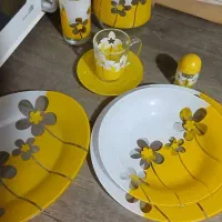 ارکوزین فرانسه