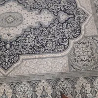 فرش کا  کرده|فرش|سنندج, |دیوار