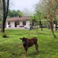 فروش خانه مسکونی و زمین