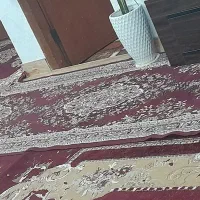 فرش|فرش|سرخرود, |دیوار