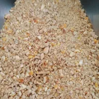 دان آماده ماکیان|لوازم جانبی حیوانات|قلعه نو, |دیوار