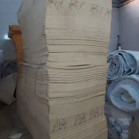 عروس هلندی نر ماده