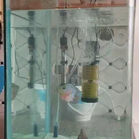 آکواریوم شیشه خم با تمام وسایل وماهی