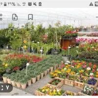 باغبانی‌و‌سمپاشی‌،گل‌درخت‌کاری