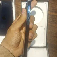 iphone 12promax 512 AAA blue|موبایل|شیراز, قدوسی غربی|دیوار