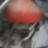 موتور سیکلت|موتورسیکلت|قم, نیروگاه|دیوار