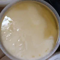 روغن حیوانی