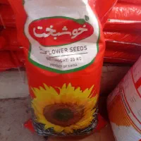 تخمه خارجی