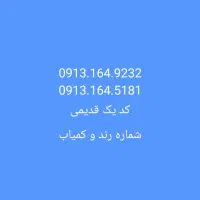 0913-164-5181