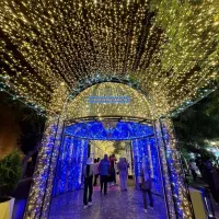 ریسه ضد آب ضمانت دار وکیوم شده پرسی وارداتی