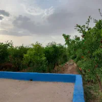 ویلاباغ 800 متری شرف آباد|فروش خانه و ویلا|میبد, |دیوار