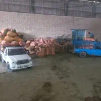 فروش یونجه|عمده‌فروشی|اهواز, نادری|دیوار