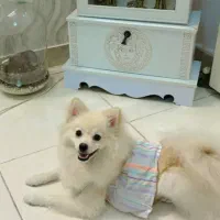 واگذاری بخونید