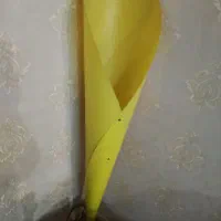 اباژور