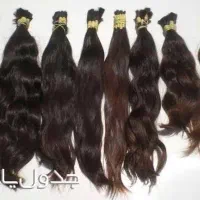 فروش وخریدار اصلی موهای طبیعی بانوان در شرق گیلان