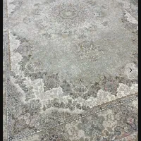 فرش ۶ متری و ۴ متری|فرش|رشت, استقامت ۲|دیوار