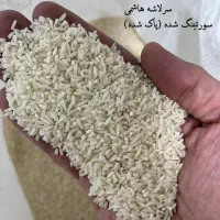 انواع برنج ایرانی عمده|خوردنی و آشامیدنی|گرگان, |دیوار