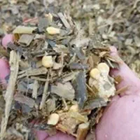 فروش عمده تفاله ذرت و چغندر تحویل درب منزل