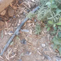 خرده کاری لوله کشی اب وفاضلاب  ( استادکار حرفه ای|خدمات پیشه و مهارت|یزد, |دیوار