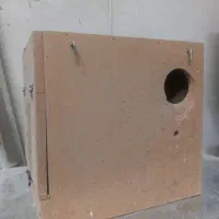 لانه عروس کوتوله