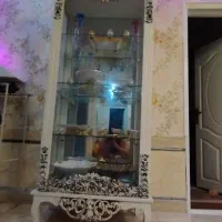 ویترین چیدمان|بوفه، ویترین، کنسول|رشت, آزادگان|دیوار