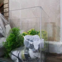 اکواریوم|ماهی|شیراز, زرگری|دیوار