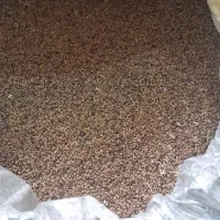 بزریونجه درجه یک|گل و گیاه طبیعی|جیرفت, |دیوار