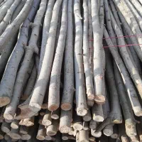 چوب ۴ متری برای داربست مو و...