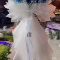 جشنواره رزطبیعی فقط شاخه ای ۲۰هزارانواع گلهاطبیعی|گل و گیاه طبیعی|کرج, گوهردشت|دیوار