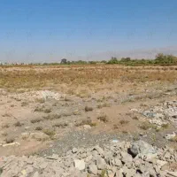 (معاوضه) زمین نورشرقی و استقلال مفت (معاوضه)|فروش زمین و ملک کلنگی|نیشابور, کردها|دیوار